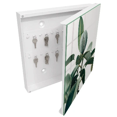 Ficus leaves Key cabinet