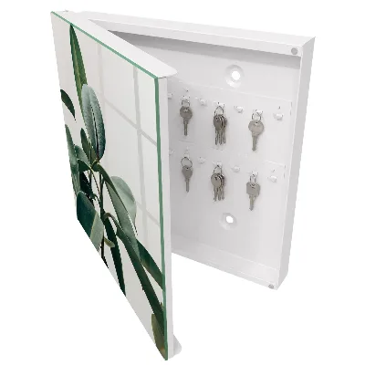 Ficus leaves Key cabinet