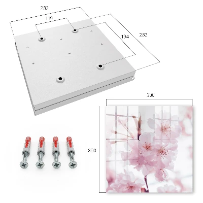 Cherry blossoms Key cabinet