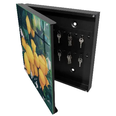Green leaves Wall mounted key box