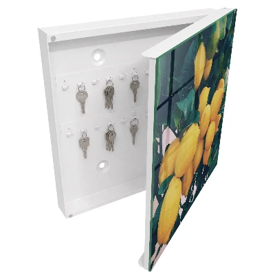 Green leaves Wall mounted key box