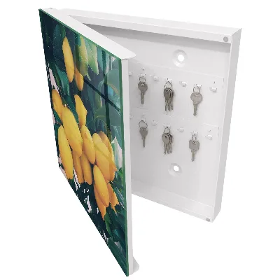 Green leaves Wall mounted key box