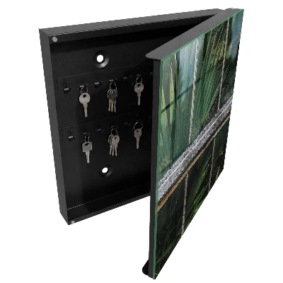 Green harmony Key cabinet
