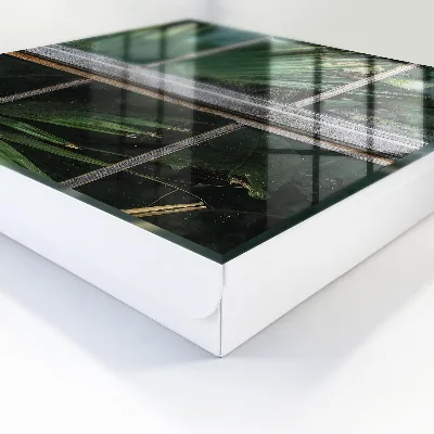 Green harmony Key cabinet