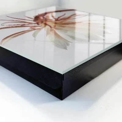 Elegance of nature Wall mounted key box