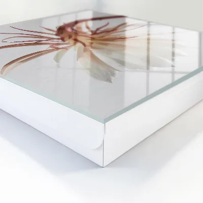 Elegance of nature Wall mounted key box