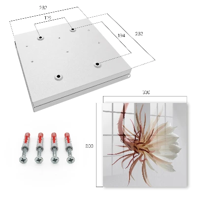 Elegance of nature Wall mounted key box