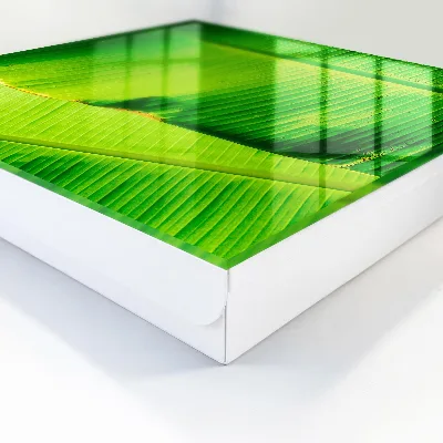 Leaf glow Key box for wall