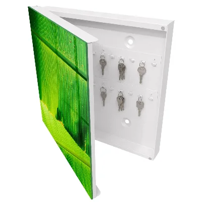 Leaf glow Key box for wall