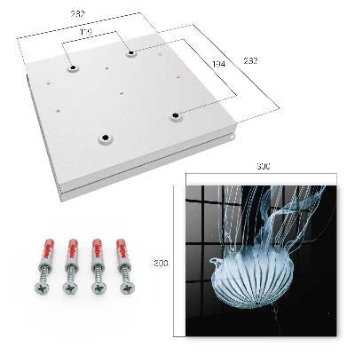 Sea tranquility Key cabinet