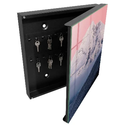 Winter peak Key box for wall