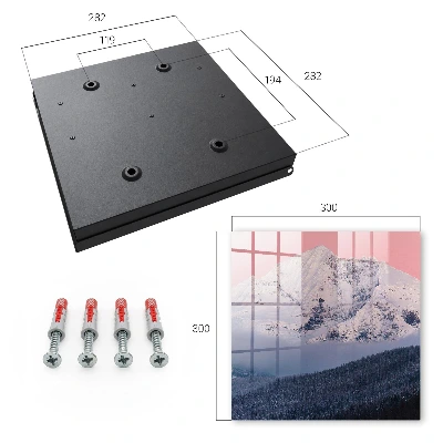 Winter peak Key box for wall