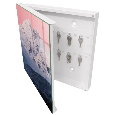 Winter peak Key box for wall