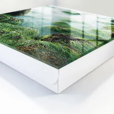 Green waves Wall mounted key box