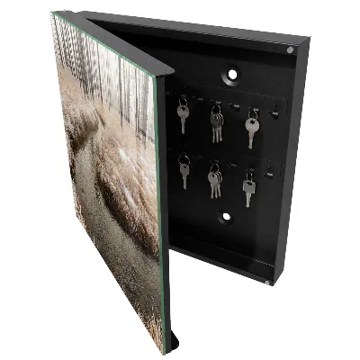 Winter river Key box for wall