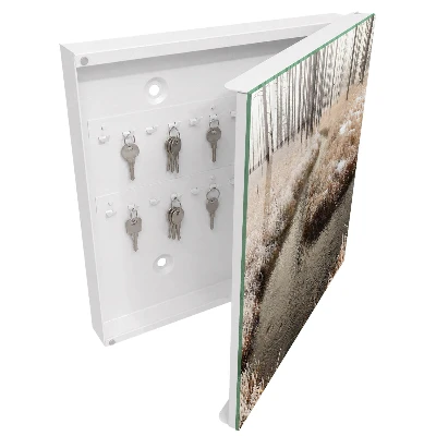 Winter river Key box for wall