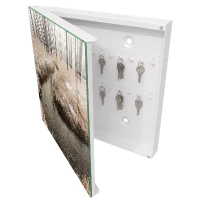 Winter river Key box for wall
