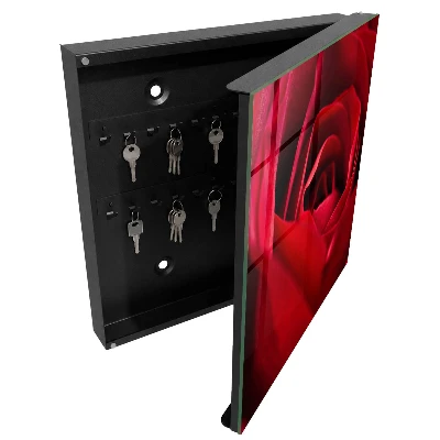 Rose close-up Wall mounted key box