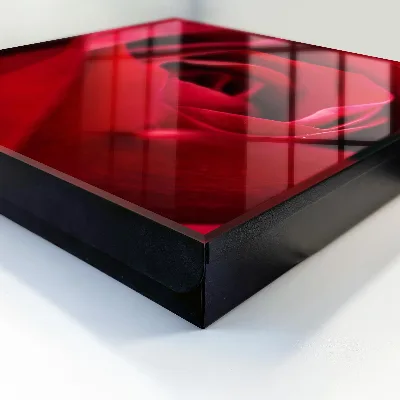 Rose close-up Wall mounted key box