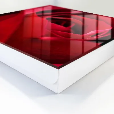 Rose close-up Wall mounted key box