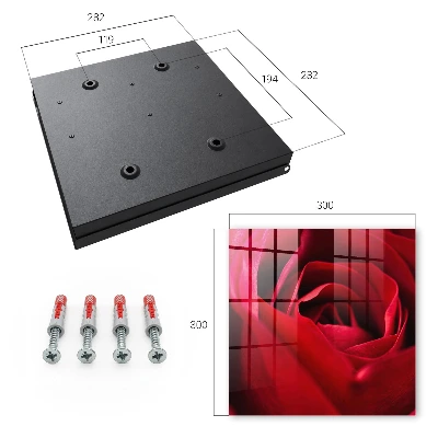 Rose close-up Wall mounted key box