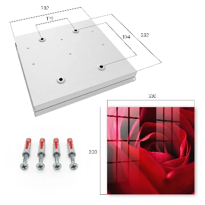 Rose close-up Wall mounted key box
