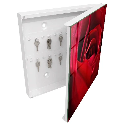 Rose close-up Wall mounted key box