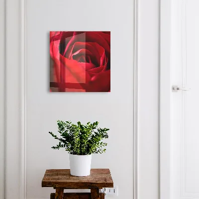 Rose close-up Wall mounted key box