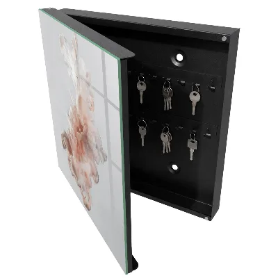 Liquid elegance Wall mounted key box