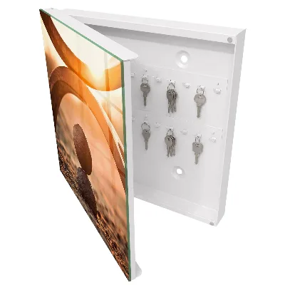 Abstract harmony Key box for wall