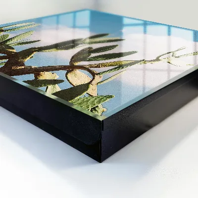 Green cactus Key box for wall