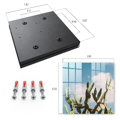 Green cactus Key box for wall