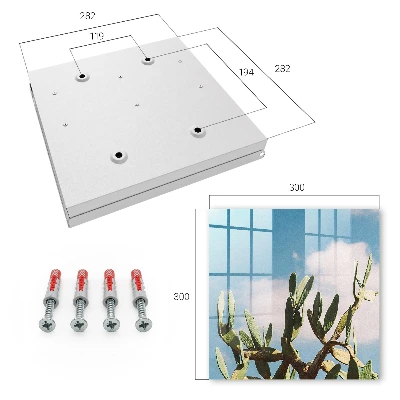 Green cactus Key box for wall