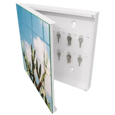 Green cactus Key box for wall