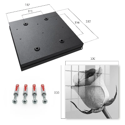 Rose elegance Key box for wall