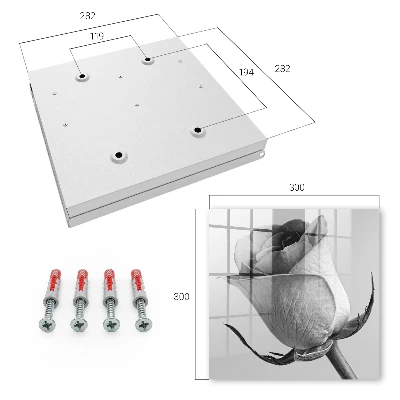 Rose elegance Key box for wall