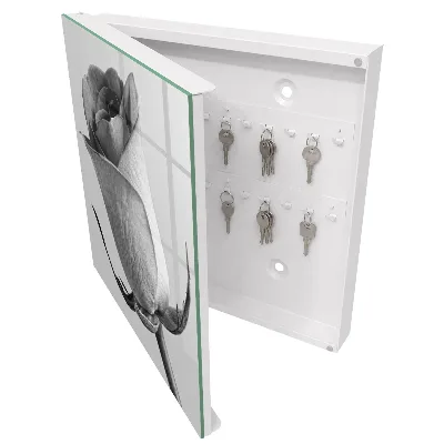 Rose elegance Key box for wall