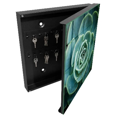 Green rosette Wall mounted key box