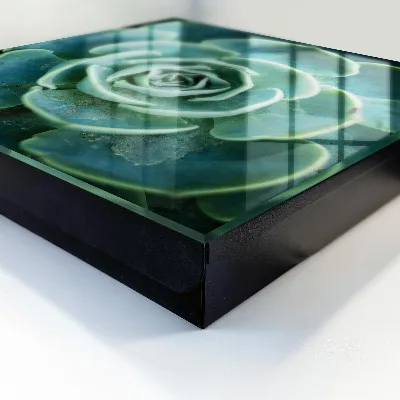 Green rosette Wall mounted key box