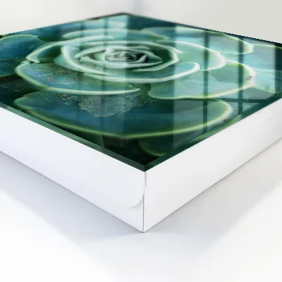 Green rosette Wall mounted key box