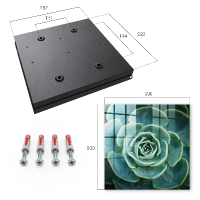 Green rosette Wall mounted key box
