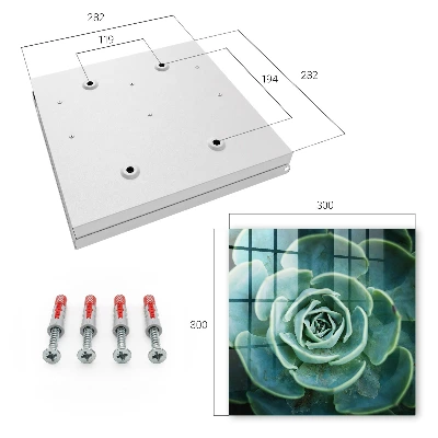 Green rosette Wall mounted key box
