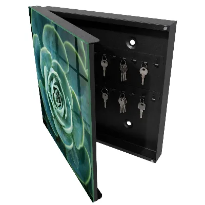 Green rosette Wall mounted key box