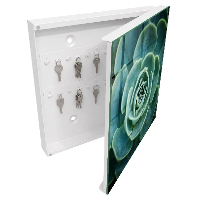 Green rosette Wall mounted key box