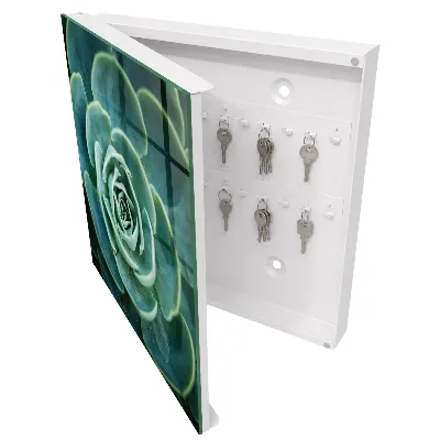 Green rosette Wall mounted key box