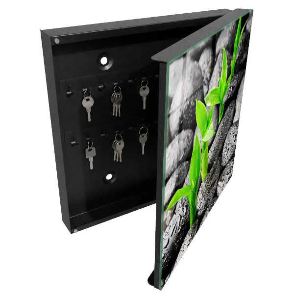 Green nature Key cabinet