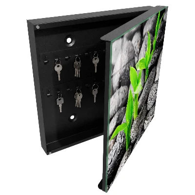 Green nature Key cabinet