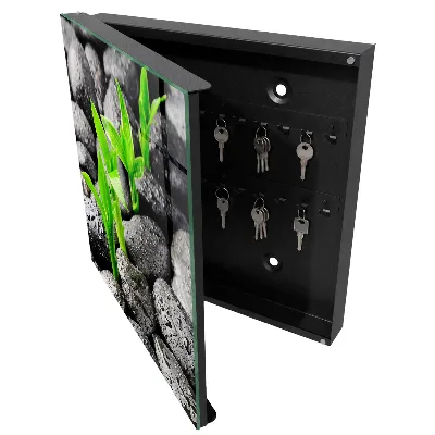 Green nature Key cabinet