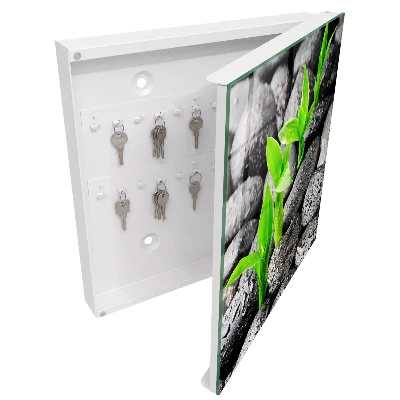 Green nature Key cabinet