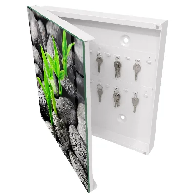 Green nature Key cabinet